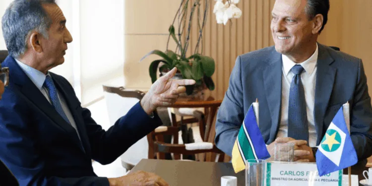 governo-federal-reforca-combate-a-praga-que-ameaca-producao-de-mandioca-no-amapa