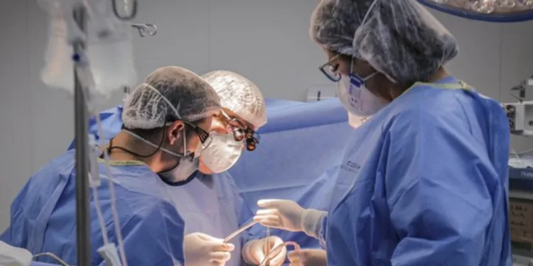 doacao-de-orgaos:-transplantes-de-intestino-delgado-e-multivisceral-entram-no-sus