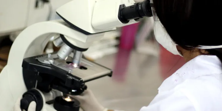 doacao-de-orgaos:-prova-cruzada-virtual-agiliza-transplantes-e-reduz-risco-de-rejeicao