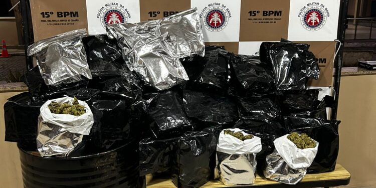 15o-batalhao-apreende-45-kg-de-maconha-em-itabuna