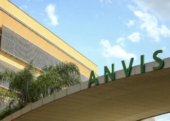 anvisa-restringe-venda-de-azeite,-sal-do-himalaia-e-cha;-confira