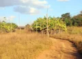prorrogado-prazo-para-georreferenciamento-de-imoveis-rurais