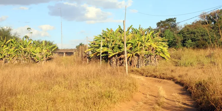 prorrogado-prazo-para-georreferenciamento-de-imoveis-rurais