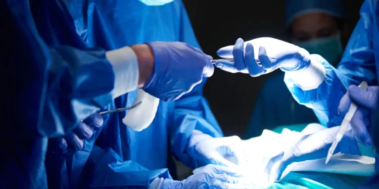 transplante-de-rim:-44-mil-pessoas-aguardam-cirurgia-no-brasil