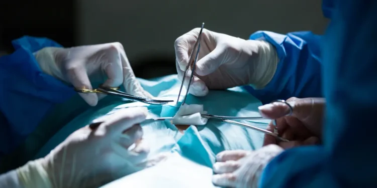 transplante-de-figado:-2,3-mil-pessoas-aguardam-cirurgia-no-brasil
