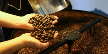 cafe,-acucar-e-milho-hoje:-confira-as-cotacoes-para-a-segunda-feira-(27)