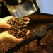 cafe,-acucar-e-milho-hoje:-confira-as-cotacoes-para-a-segunda-feira-(27)