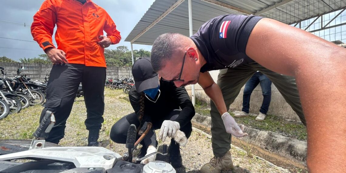 balanco-parcial-da-‘operacao-ressonancia’-tem-12-veiculos-com-restricao-identificados-por-equipes-policiais