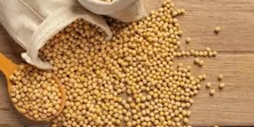 soja-e-trigo:-confira-as-cotacoes-de-preco-para-esta-quarta-feira-(29)