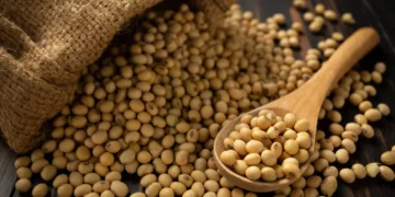 soja-e-trigo-hoje:-confira-as-cotacoes-para-quinta-(30)