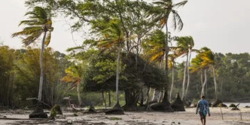 100%-das-iniciativas-do-midr-estao-alinhadas-aos-objetivos-de-desenvolvimento-sustentavel