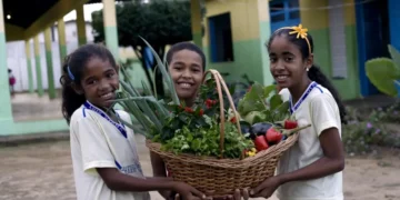 prazo-para-adesao-ao-novo-pronacampo-e-prorrogado-ate-30-de-novembro