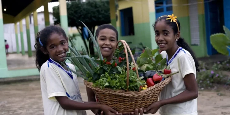 prazo-para-adesao-ao-novo-pronacampo-e-prorrogado-ate-30-de-novembro