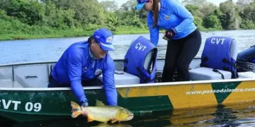 pesca-comercial:-confira-inicio-do-periodo-de-defeso-nas-bacias-hidrograficas