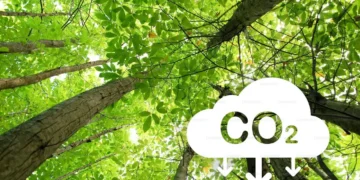 goias-e-o-primeiro-estado-do-brasil-com-“carbono-positivo”-no-uso-da-terra,-revela-pesquisa