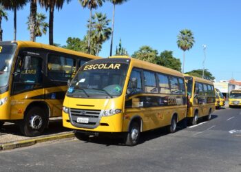 nova-legislacao-garante-repasses-para-alimentacao-e-transporte-escolar