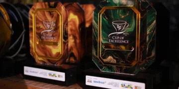 cop30:-acoes-promovidas-pela-apexbrasil-dao-visibilidade-global-a-produtos-compativeis-com-a-floresta