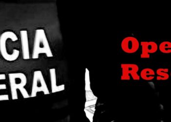 apos-denuncia-a-safernet,-pf-identifica-suspeitos-de-armazenar-imagens-de-abuso-sexual-infantil