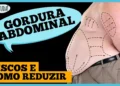 gordura-abdominal:-riscos,-doencas-e-como-combater