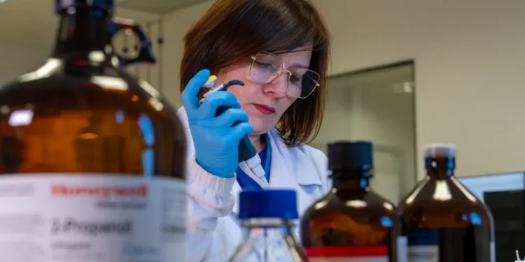 iel-lanca-novas-vagas-do-programa-inova-talentos-com-bolsas-de-ate-r$-12-mil