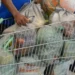 inmetro-encontra-3,7-mil-irregularidades-em-produtos-da-cesta-basica-durante-operacao-nacional