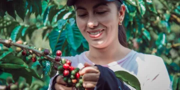 vice-presidente-alckmin-e-ministro-carlos-favaro-alinham-avancos-tarifarios-com-setores-de-castanhas,-cafe-e-carnes