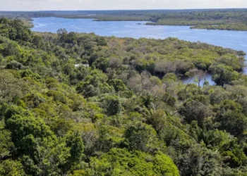 licenciamento-ambiental:-entidades-veem-derrubada-de-vetos-como-avanco-para-o-desenvolvimento-sustentavel