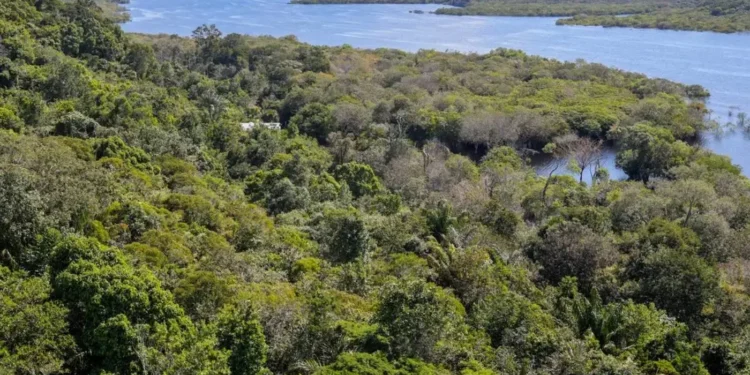 licenciamento-ambiental:-entidades-veem-derrubada-de-vetos-como-avanco-para-o-desenvolvimento-sustentavel