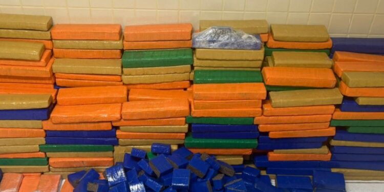 pm-apreende-cerca-de-uma-tonelada-de-maconha-em-simoes-filho