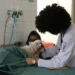 produtos-veterinarios-terao-canal-obrigatorio-de-atendimento-ao-usuario;-veja-novas-regras