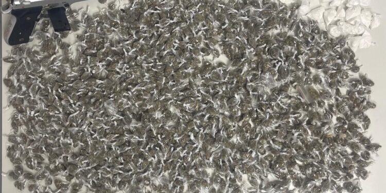 pm-prende-suspeitos-de-trafico-e-apreende-simulacro-de-arma-de-fogo-em-camacari