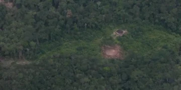 licenciamento-ambiental:-regiao-sul-soma-mais-de-15-mil-pedidos-em-analise