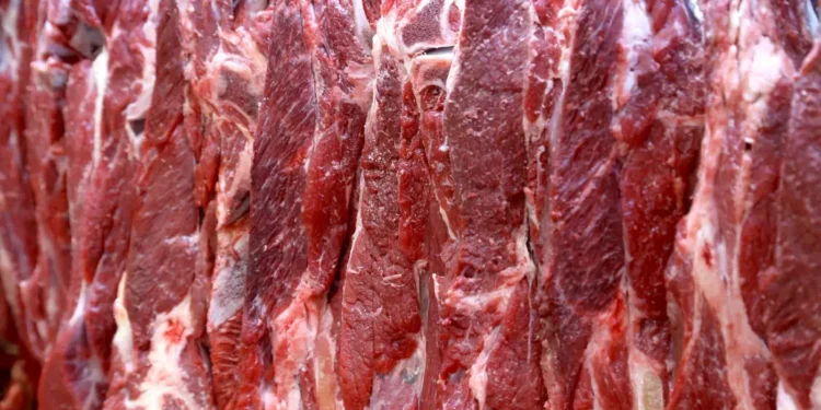 brasil-chega-a-500-mercados-abertos-ao-fechar-acordo-com-guatemala-sobre-carne-bovina