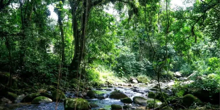 licenciamento-ambiental:-regiao-sudeste-soma-mais-de-24,7-mil-pedidos-em-analise