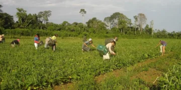 fno-impulsiona-desenvolvimento-economico-no-norte-e-financia-r$-13,4-bilhoes-ate-setembro