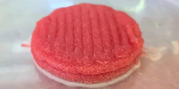 carne-feita-em-impressora-3d:-projeto-cria-proteina-sem-abate-animal