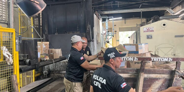 policia-civil-incinera-400-quilos-de-entorpecentes-em-itapetinga