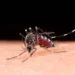 brasil-registra-1,66-milhao-de-casos-provaveis-de-dengue-em-2025