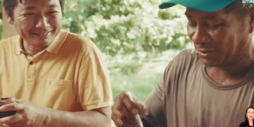 produtor-da-amazonia-une-sustentabilidade-e-tradicao-familiar-japonesa-no-cultivo-de-acai