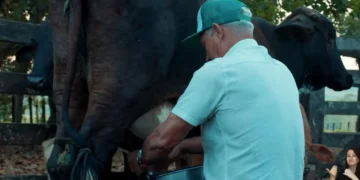 do-milho-ao-acai:-como-o-credito-bancario-impulsionou-uma-fazenda-no-sudeste-do-para