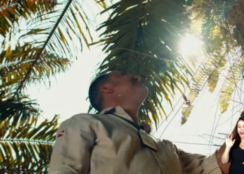 palma-sustentavel-fortalece-agricultura-familiar-e-preserva-solo-na-amazonia