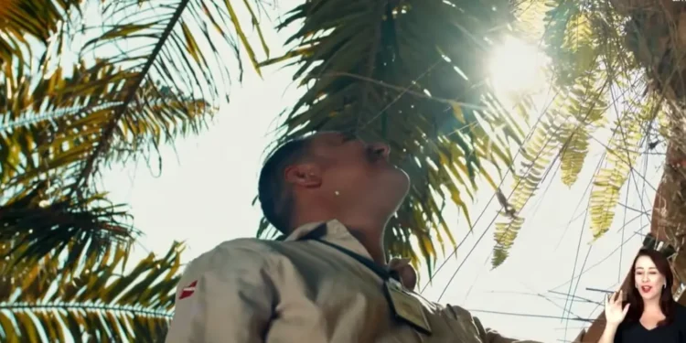 palma-sustentavel-fortalece-agricultura-familiar-e-preserva-solo-na-amazonia