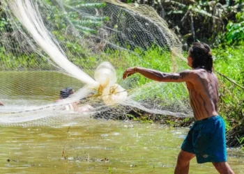 seguro-defeso:-pescadores-precisam-enviar-reap-pelo-pesqbrasil-ate-esta-quarta-feira-(31) 