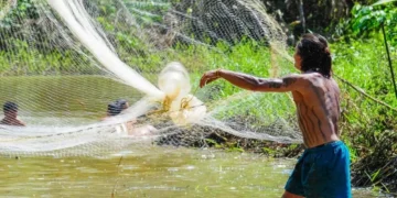 seguro-defeso:-pescadores-precisam-enviar-reap-pelo-pesqbrasil-ate-esta-quarta-feira-(31) 