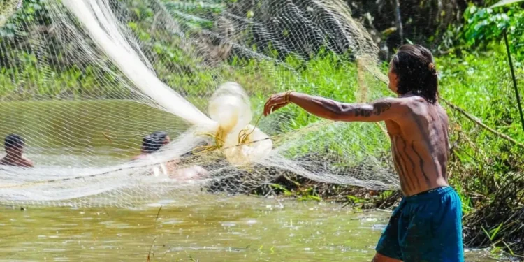 seguro-defeso:-pescadores-precisam-enviar-reap-pelo-pesqbrasil-ate-esta-quarta-feira-(31)