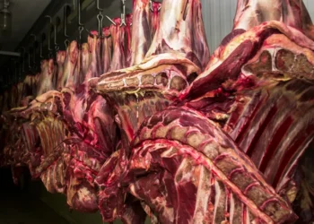 restricao-da-china-a-carne-bovina-pode-causar-impacto-de-us$-3-bilhoes-ao-brasil