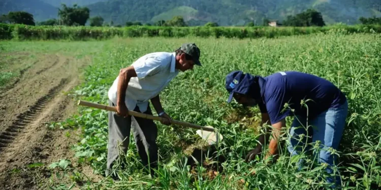 reforma-tributaria:-cna-orienta-produtores-sobre-mudancas-na-emissao-de-notas-fiscais-em-2026