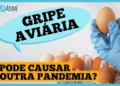 gripe-aviaria:-o-que-e-e-quando-se-preocupar?