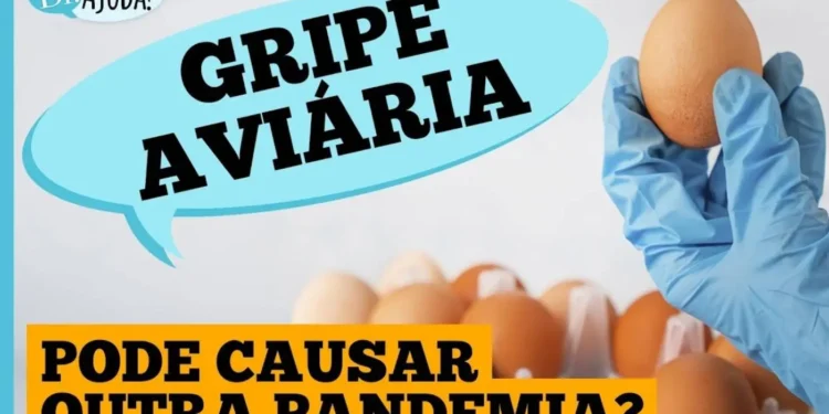 gripe-aviaria:-o-que-e-e-quando-se-preocupar?