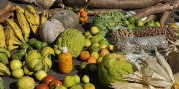 prazo-para-adesao-ao-paa-termina-em-19-de-janeiro-para-municipios-do-norte-e-nordeste